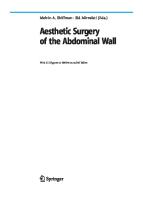 Aesthetic Surgery of the Abdominal Wall [1 ed.]
 3540211578, 9783540211570