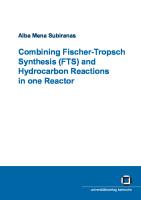 Combining Fischer-Tropsch Synthesis (Fts) And Hydrocarbon Reactions In One Reactor
 3866443307, 9783866443303