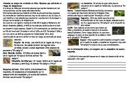 Guia Animales en Preligro de Extincion [PDF]