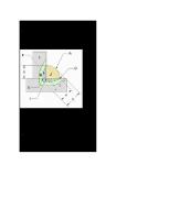 Identifying The Parts of A Fillet Weld [PDF]