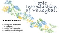 Intro To Volleyball Nepomuceno