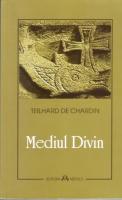 Mediul divin