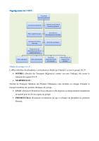 Organigramme Et Filiales de OCP