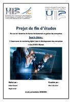 PFE Marketing Digital PDF