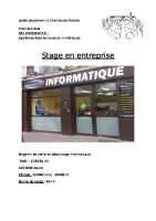 Rapport de Stage 2012 Eureka [PDF]