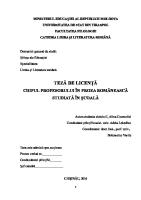 Teza de Licenta [PDF]